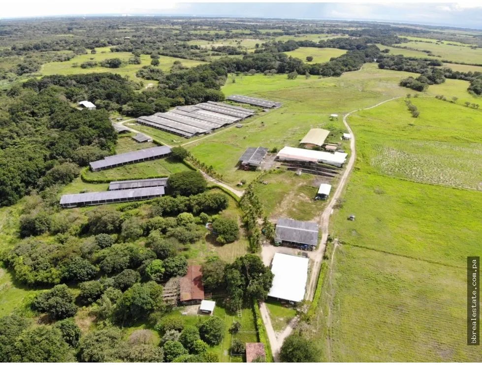 Land/Farm for sale in Anton