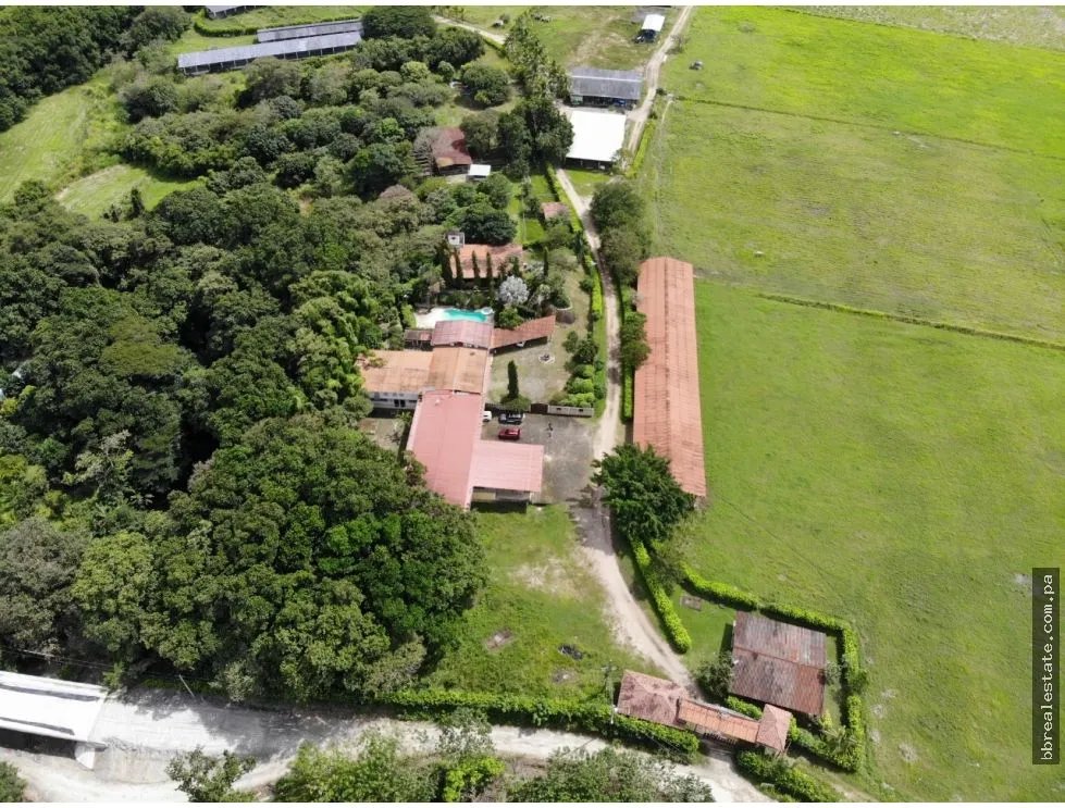 Land/Farm for sale in Anton
