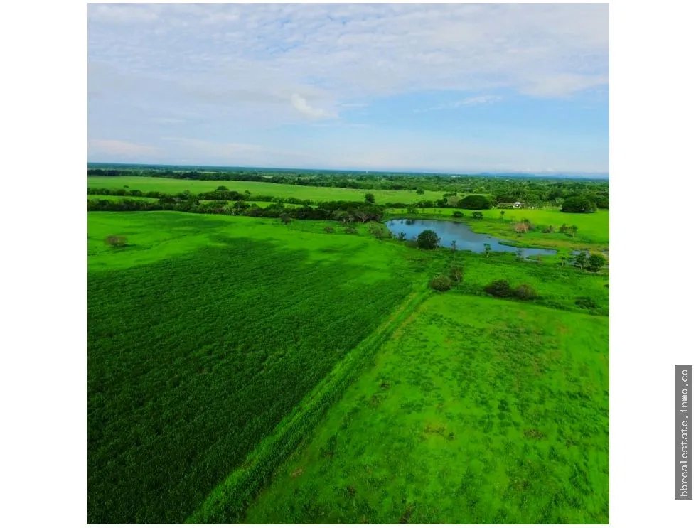 Land/Farm for sale in Anton