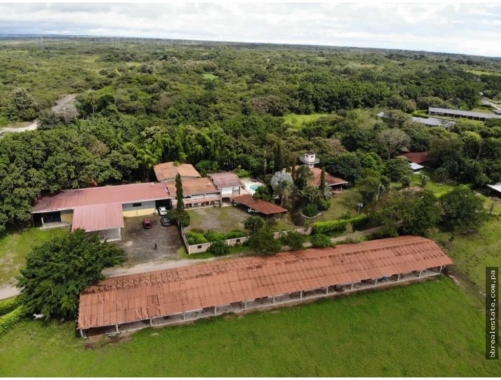 Land/Farm for sale in Anton