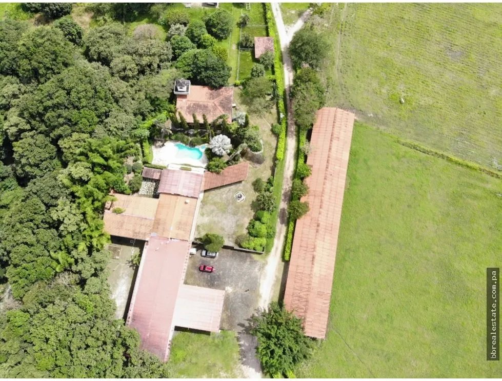 Land/Farm for sale in Anton