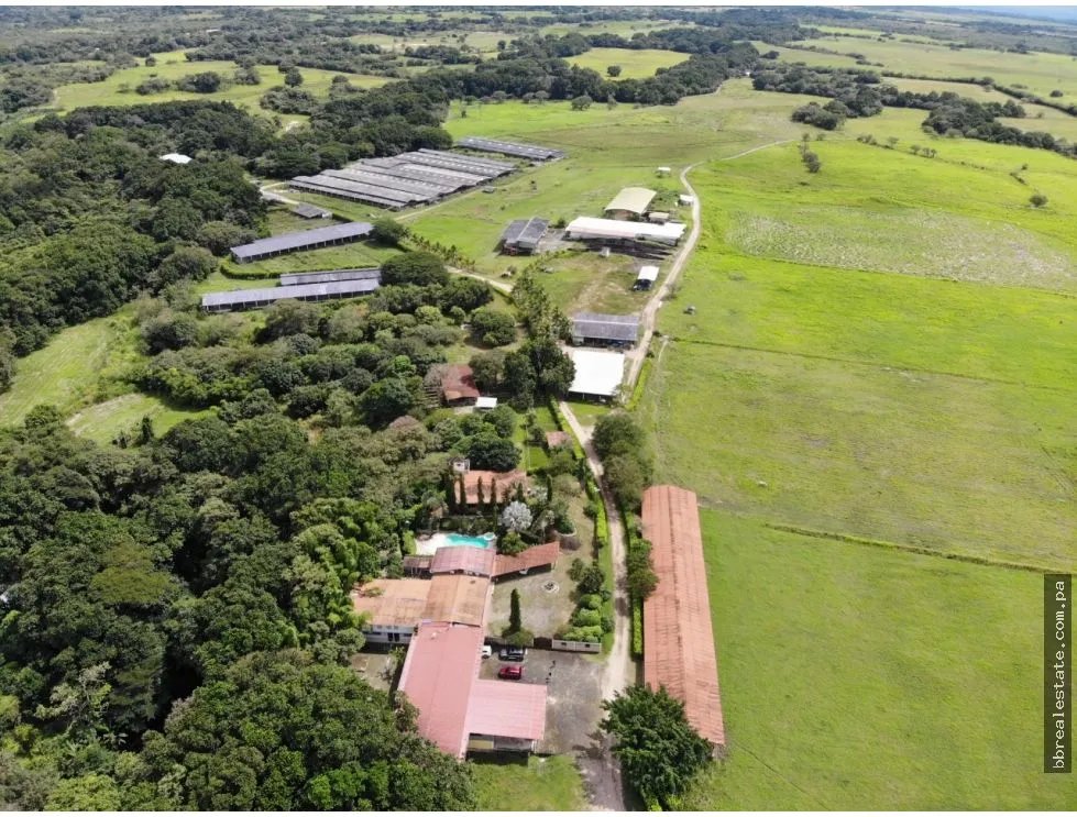 Land/Farm for sale in Anton