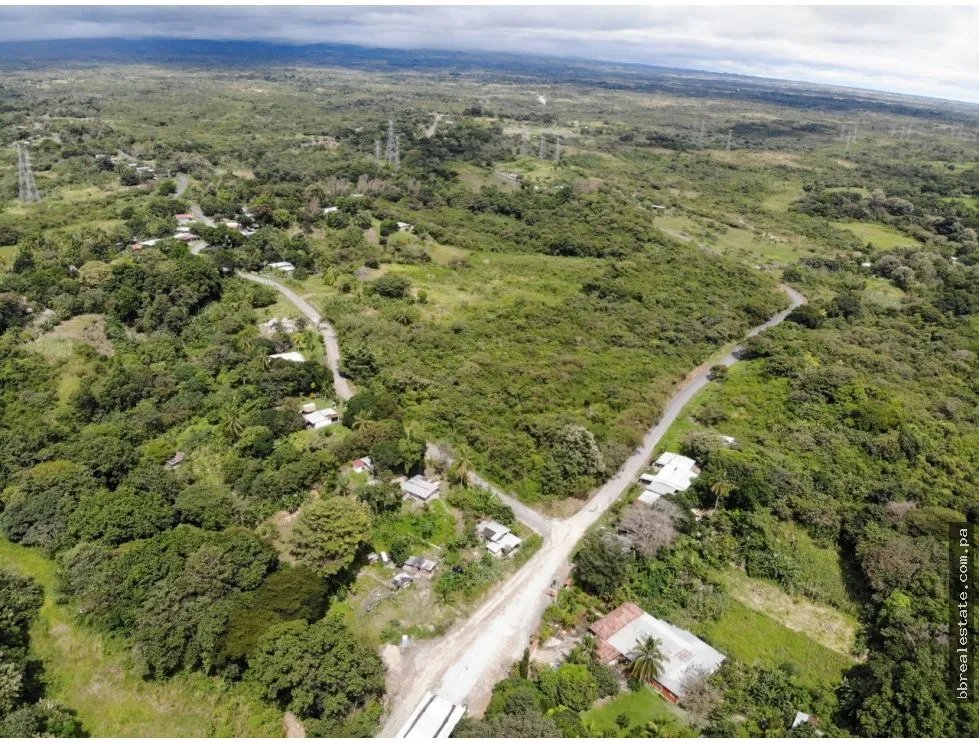Land/Farm for sale in Anton
