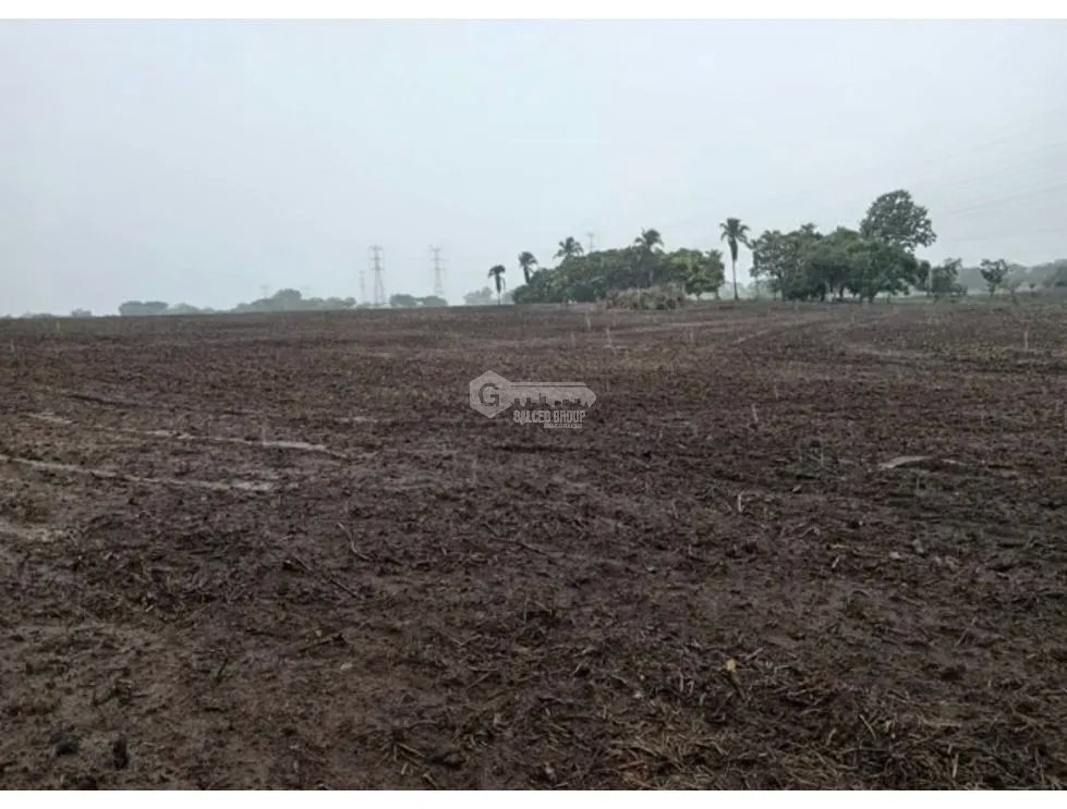 SE VENDE FINCA EN ANTON 5.5 HECTAREAS CON CLIMAS FRESCOS