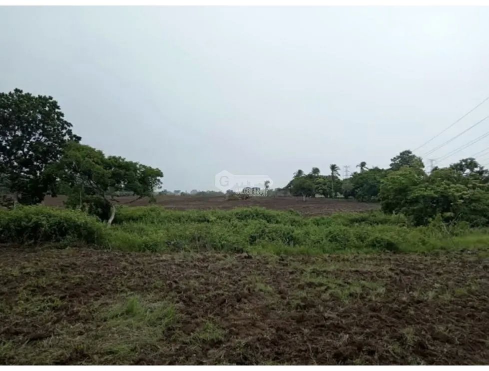 Land/Farm for sale in Anton