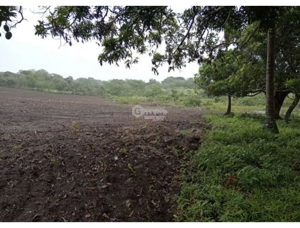 Land/Farm for sale in Anton