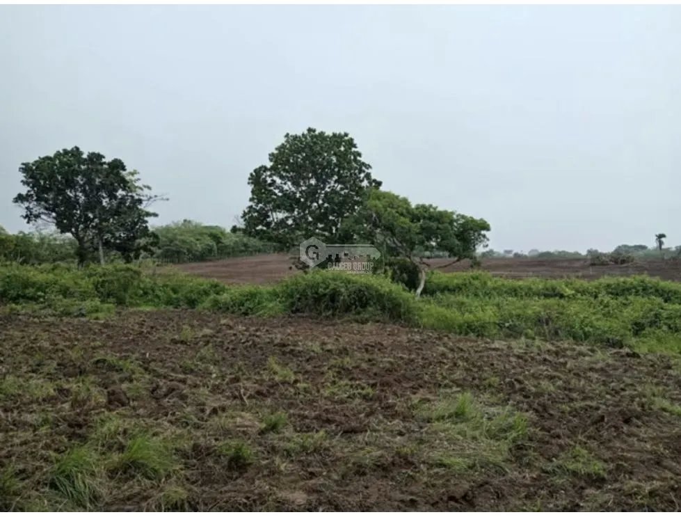 Land/Farm for sale in Anton