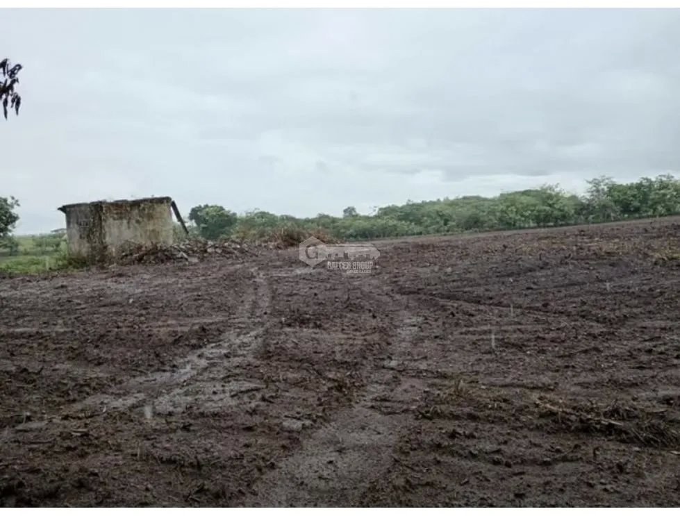 Land/Farm for sale in Anton