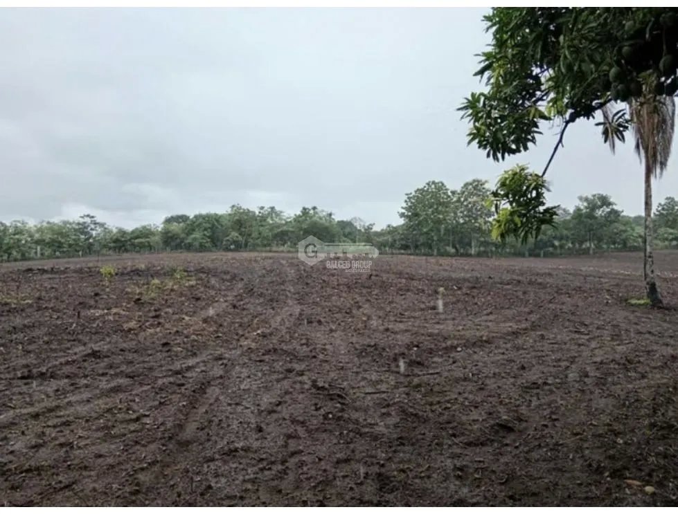 Land/Farm for sale in Anton