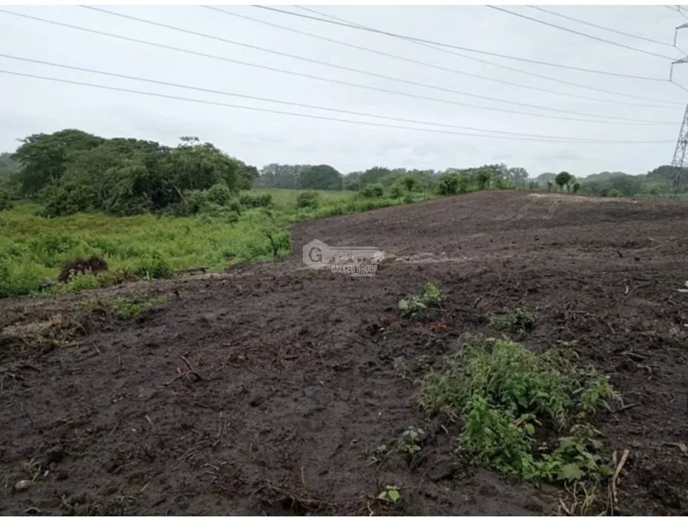 FINCA / COCLE / ANTON / 5.5 HECTAREAS / CON POZO