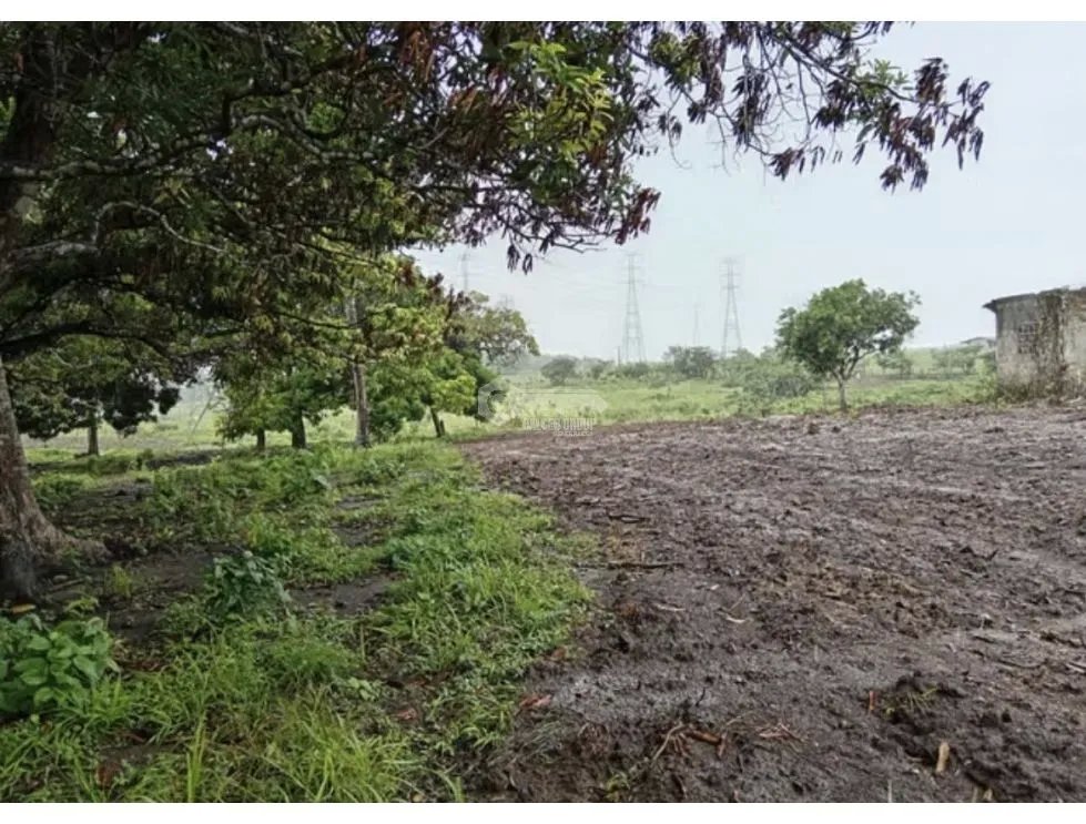 Land/Farm for sale in Anton