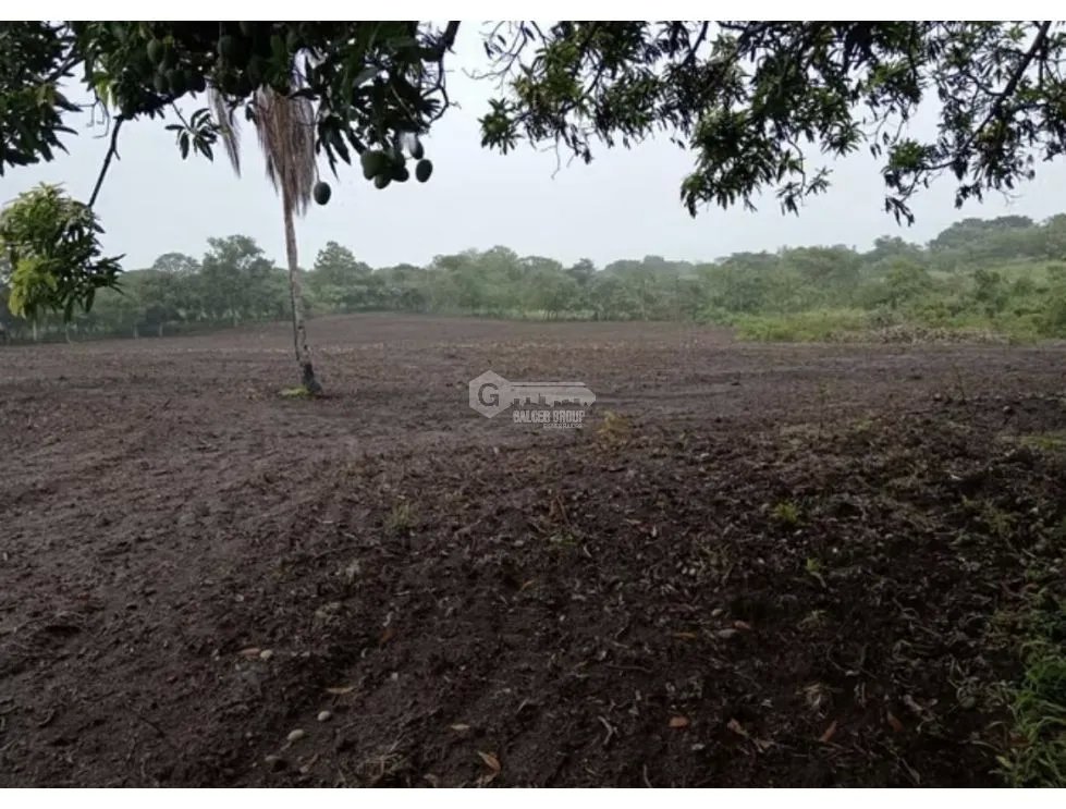 Land/Farm for sale in Anton