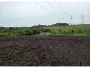 FINCA / COCLE / ANTON / 5.5 HECTAREAS / ...
