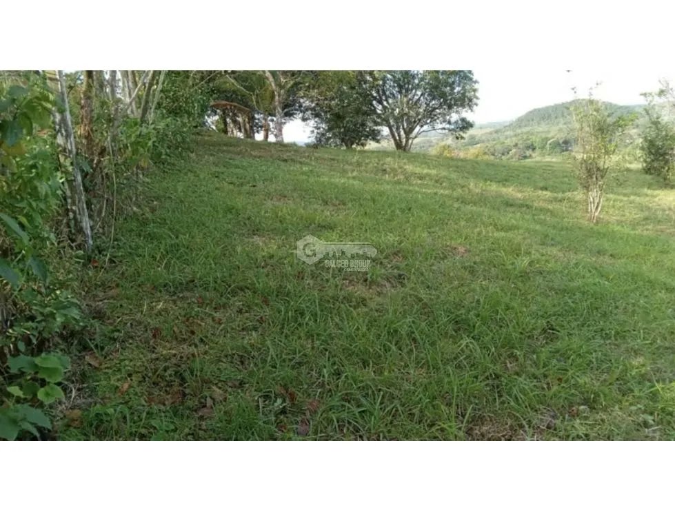 SE VENDE TERRENO EN  POTRERO GRANDE 1 HECTAREA CLIMAS FRESCOS