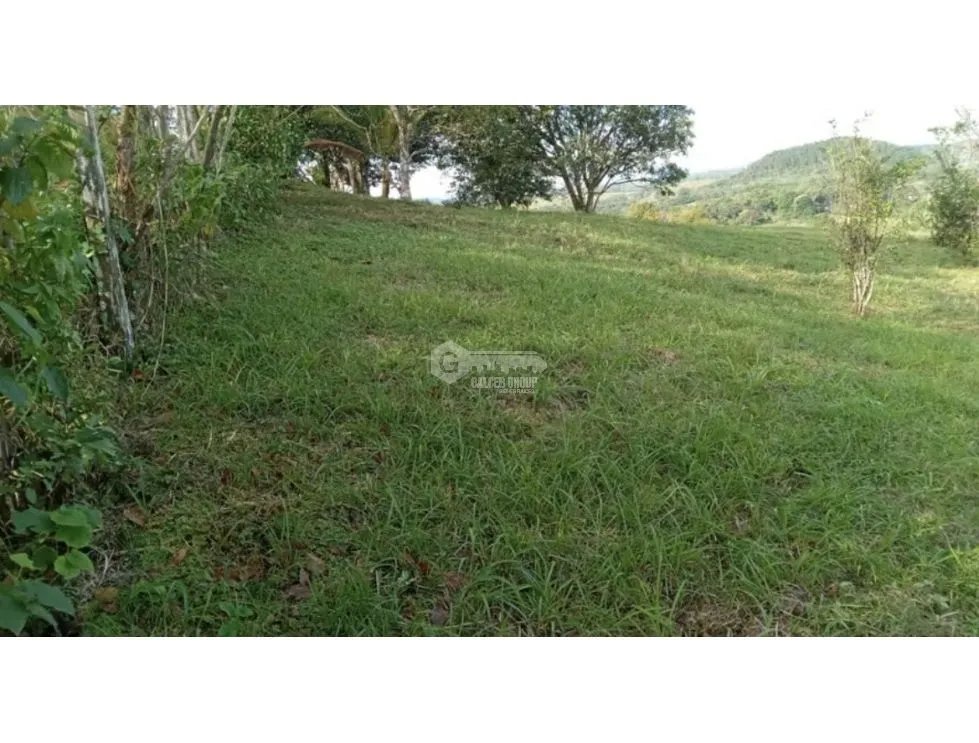 Building Lot for sale in Chorrera