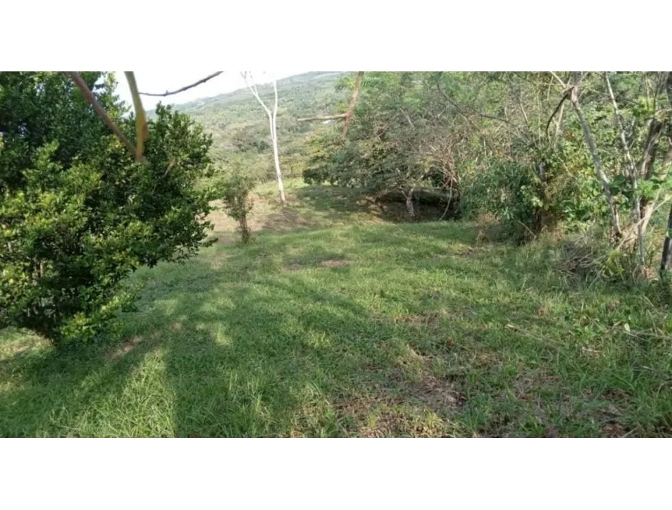 Building Lot for sale in Chorrera
