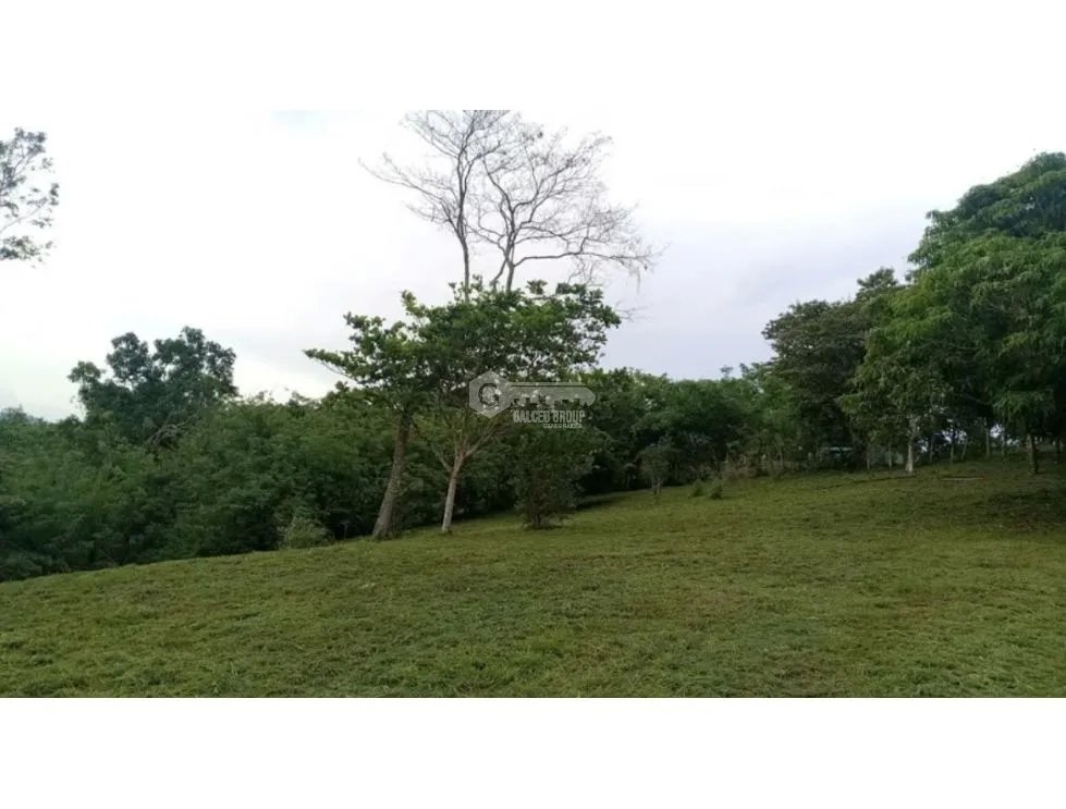 Building Lot for sale in Chorrera