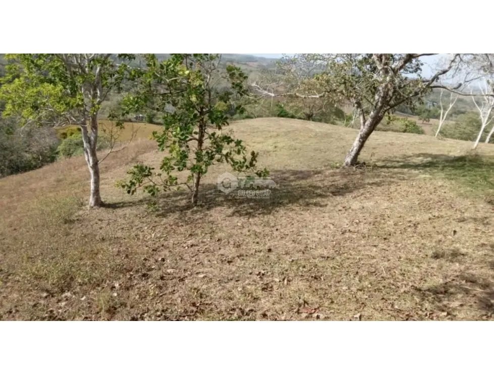 Building Lot for sale in Chorrera