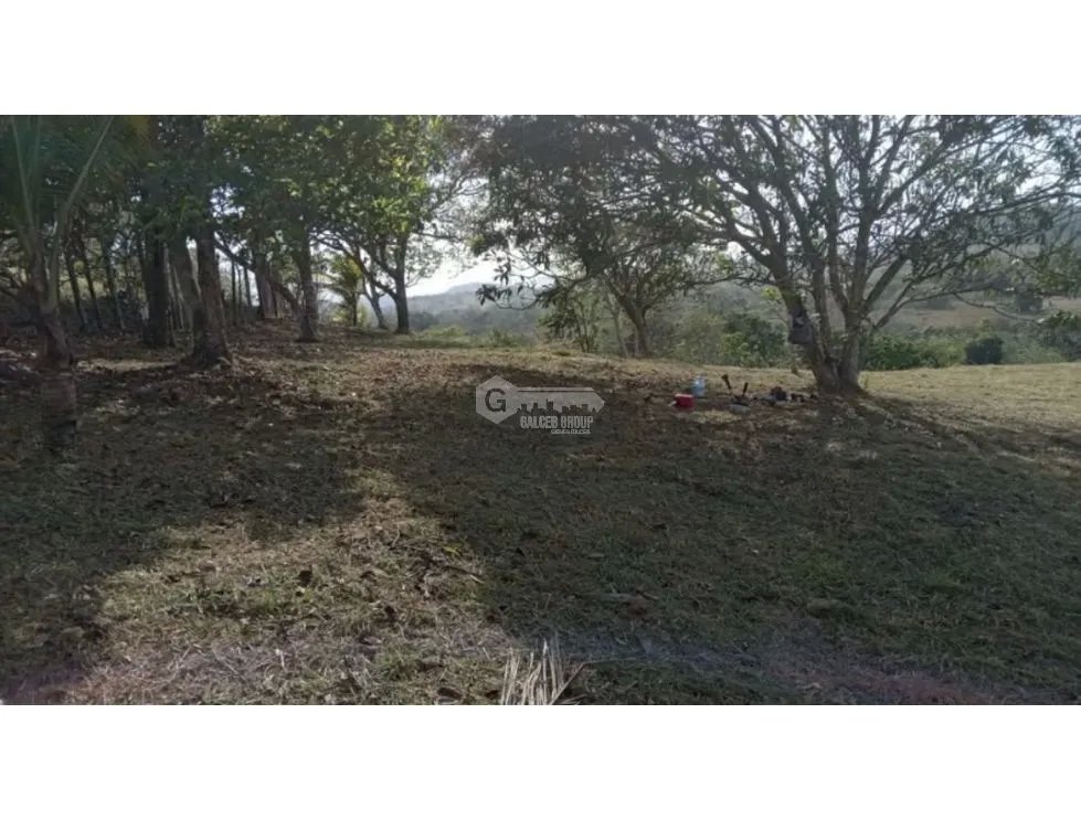 Building Lot for sale in Chorrera