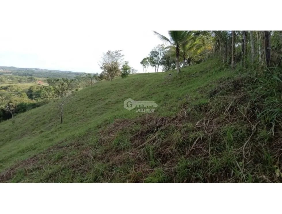 Building Lot for sale in Chorrera
