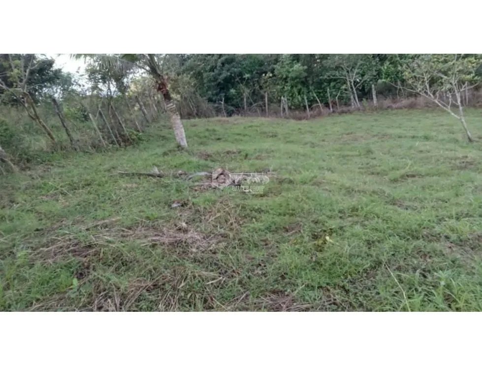Building Lot for sale in Chorrera