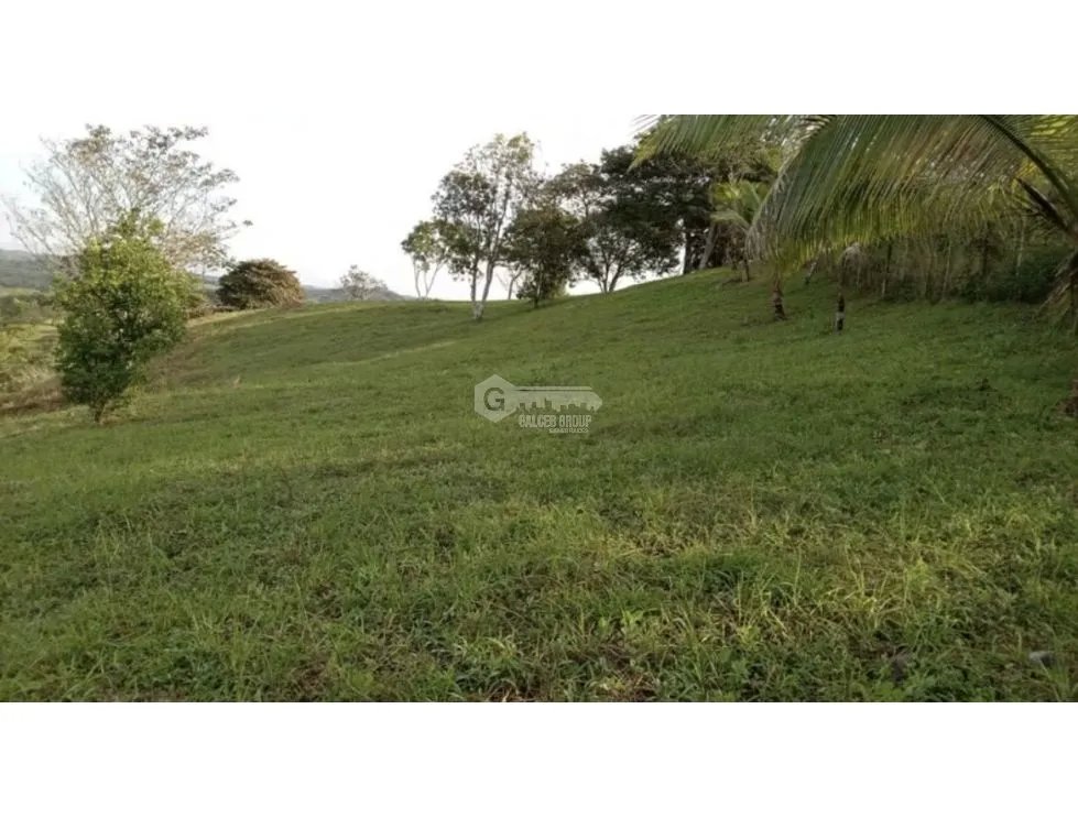TERRENO / CHORRERA / POTRERO GRANDE / 1 HECTAREA / CLIMA FRESCO