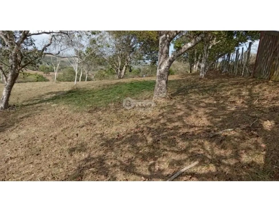 Building Lot for sale in Chorrera
