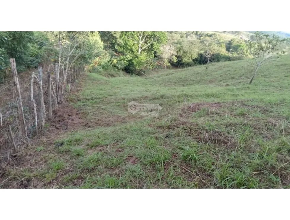 Building Lot for sale in Chorrera