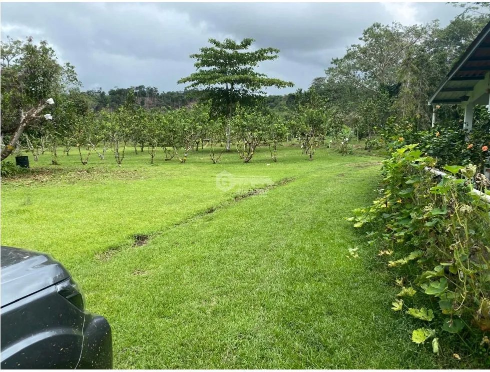 TERRENO / CHORRERA / CERRO CAMA / 13.5 HECTAREAS / FINCA GANADERA