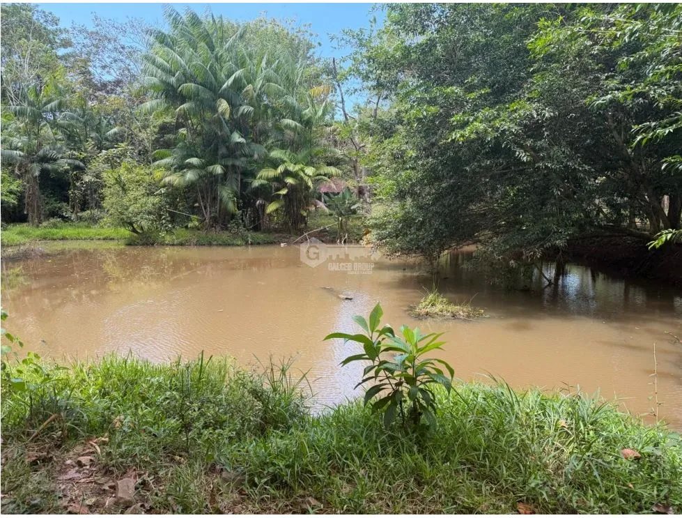 SE VENDE FINCA EN CERRO CAMA  13.5 HECTAREAS  GANADERA