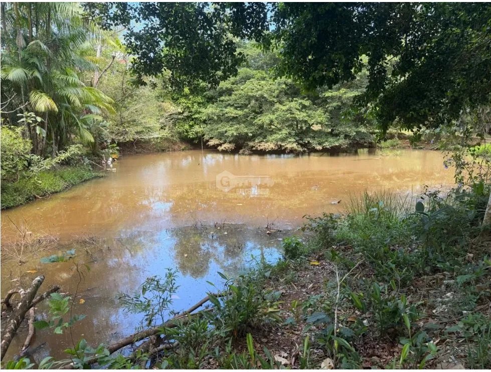 SE VENDE FINCA EN CERRO CAMA  13.5 HECTAREAS  GANADERA