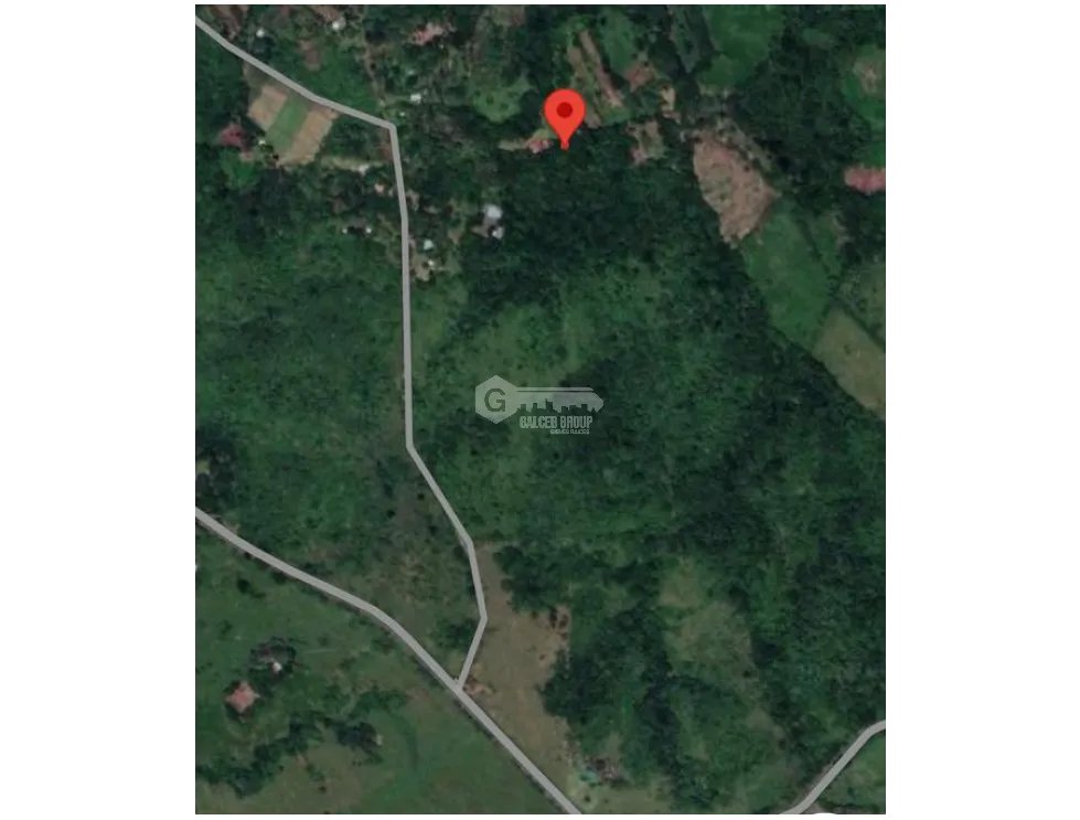 Land/Farm for sale in Chorrera