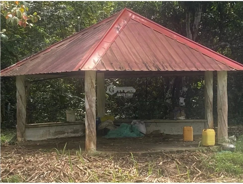 Land/Farm for sale in Chorrera