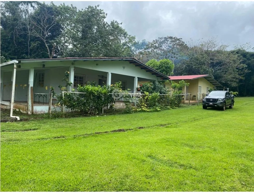 Land/Farm for sale in Chorrera