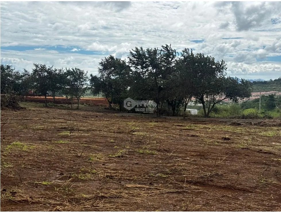 Building Lot for sale in Chorrera