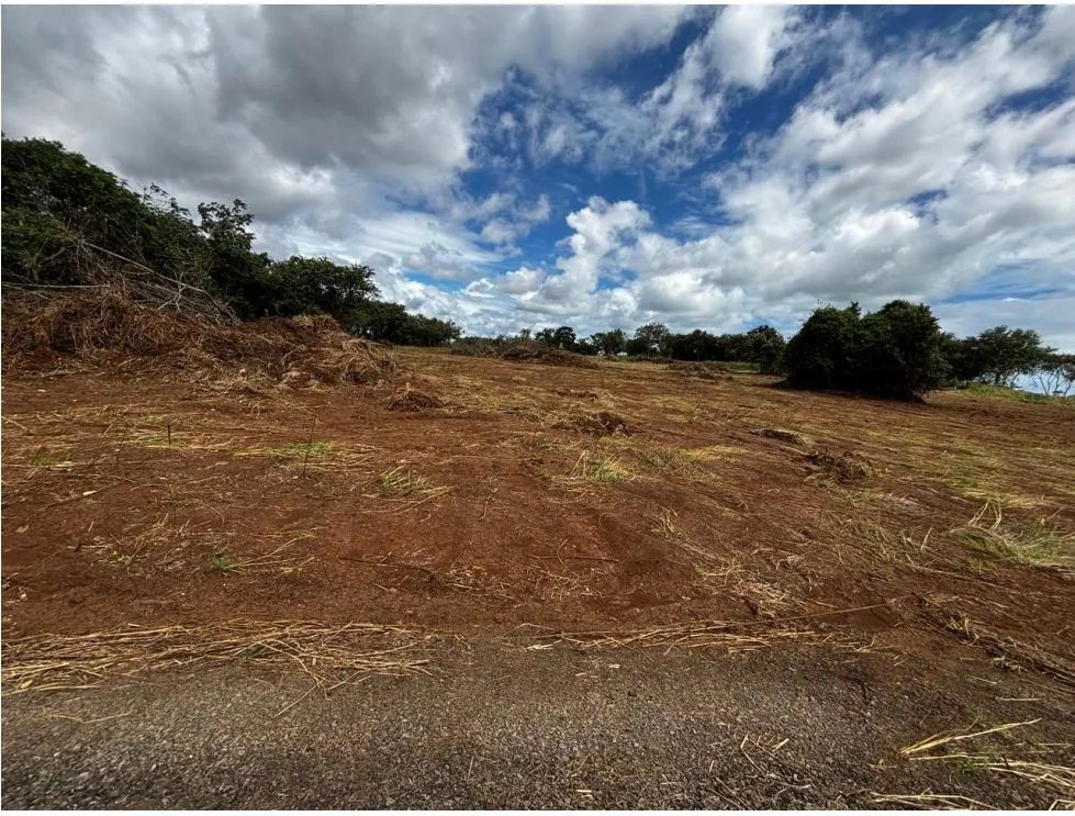Building Lot for sale in Chorrera