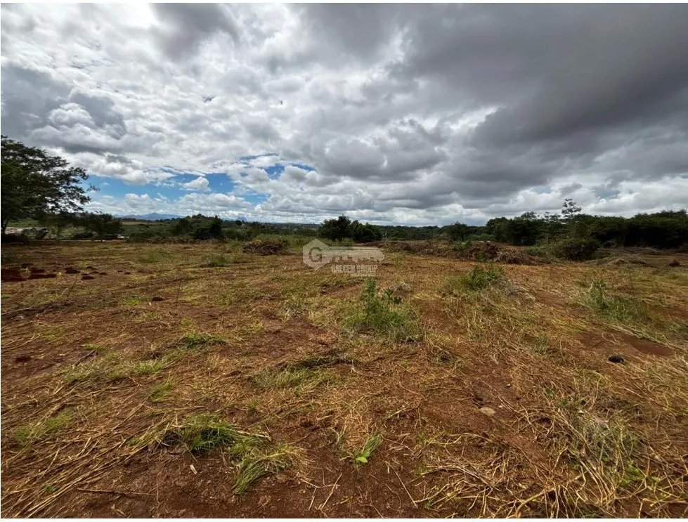 Building Lot for sale in Chorrera