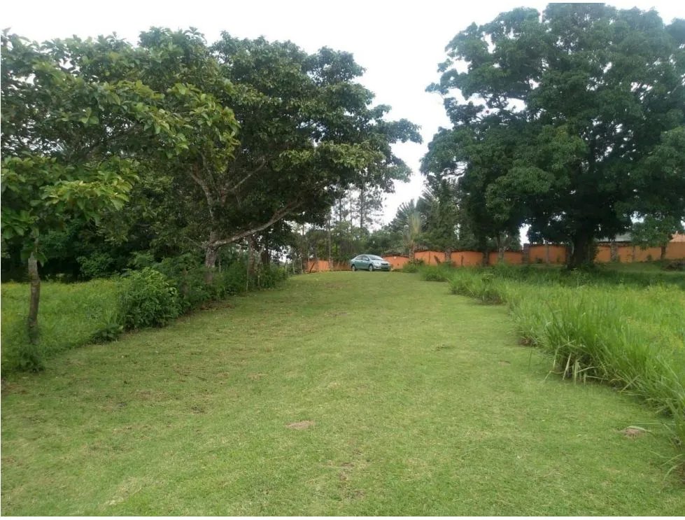 LA CHORRERA / ARENOSA / 12 HECTAREAS / FINCA CON CABAÑA