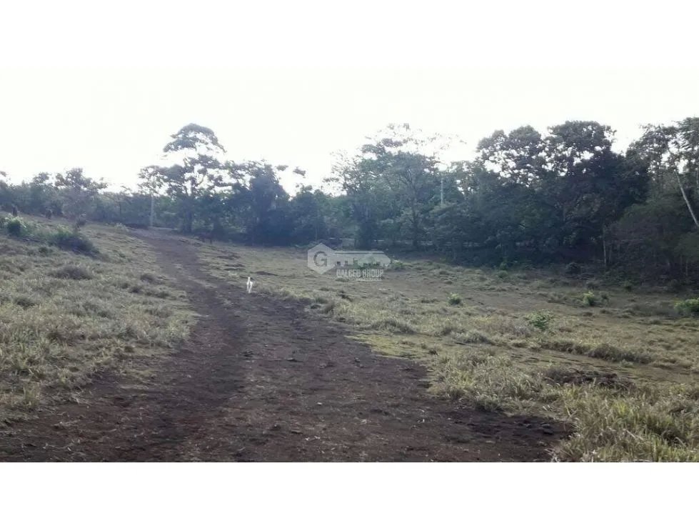 LA CHORRERA / ARENOSA / 12 HECTAREAS / FINCA CON CABAÑA