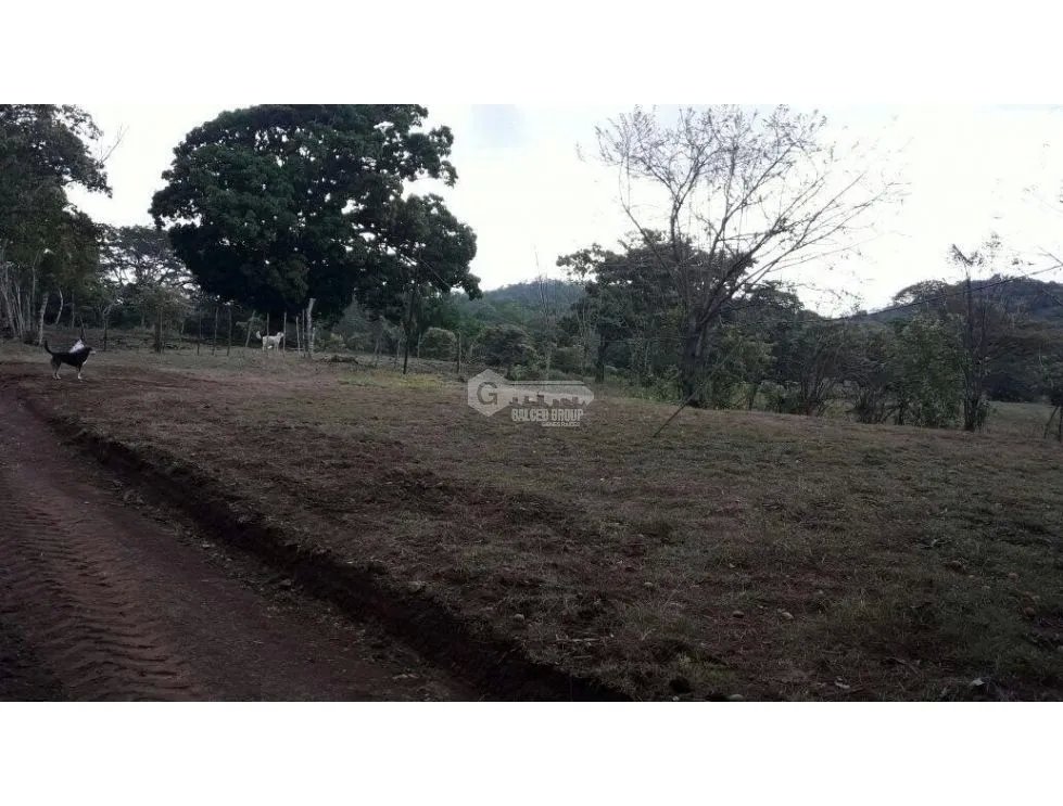 LA CHORRERA / ARENOSA / 12 HECTAREAS / FINCA CON CABAÑA