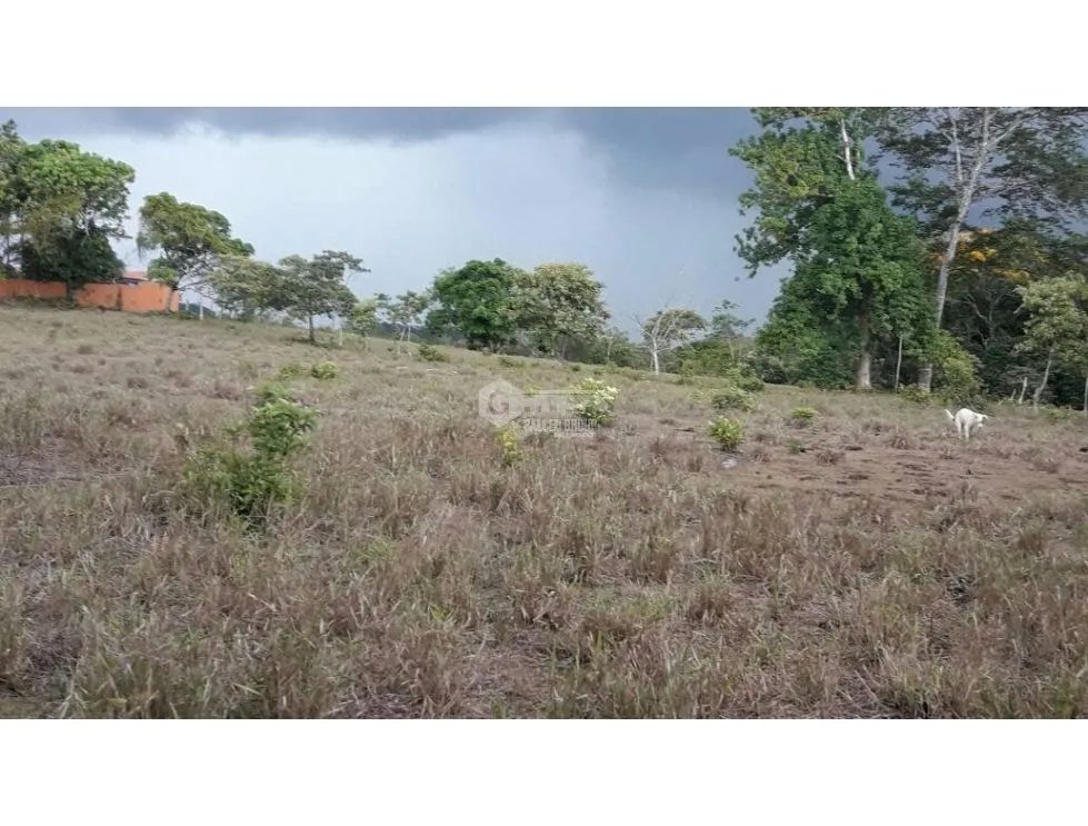 LA CHORRERA / ARENOSA / 12 HECTAREAS / FINCA CON CABAÑA