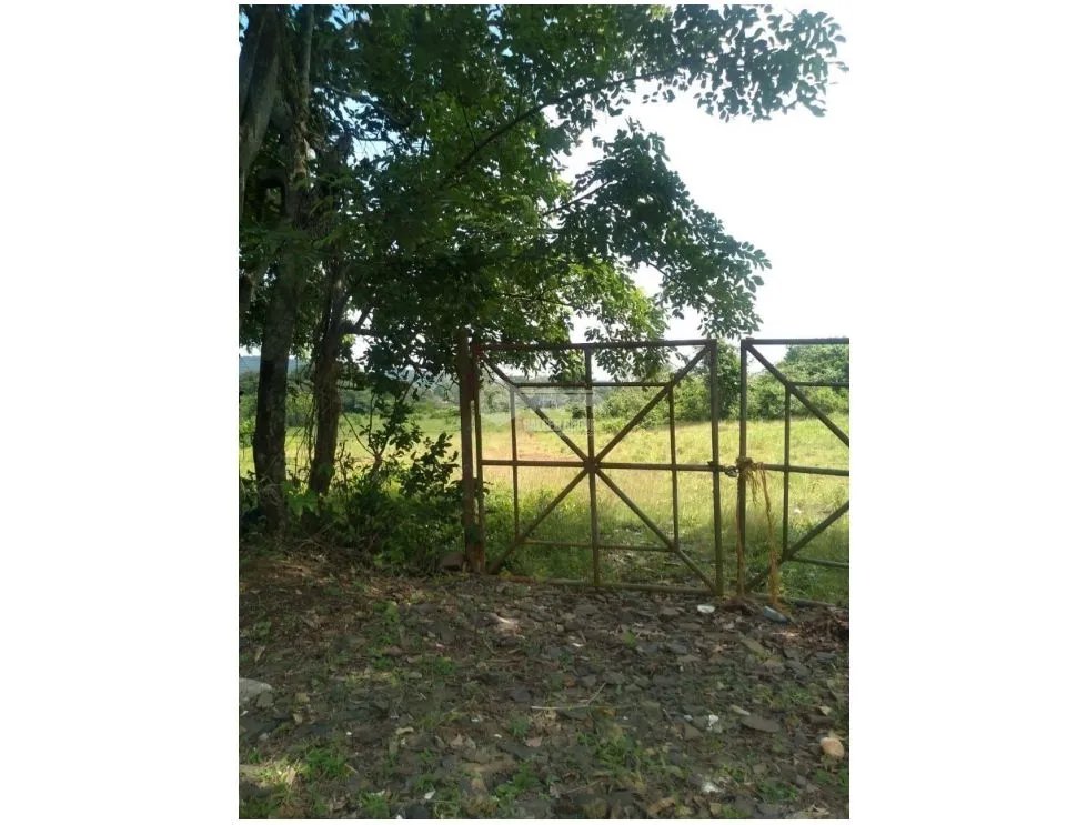 Land/Farm for sale in Chorrera