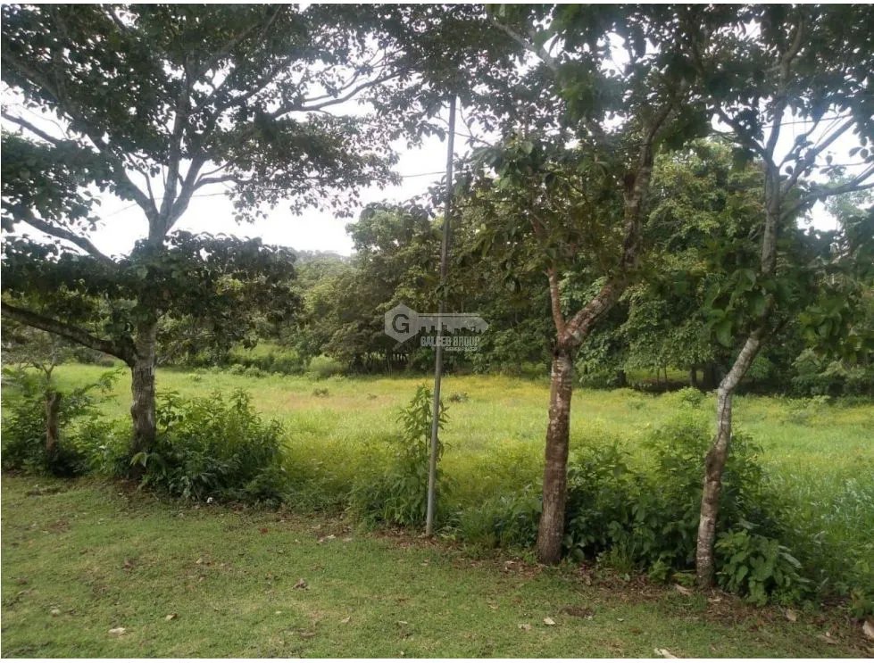 Land/Farm for sale in Chorrera