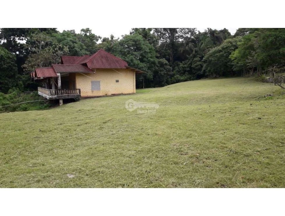 Land/Farm for sale in Chorrera