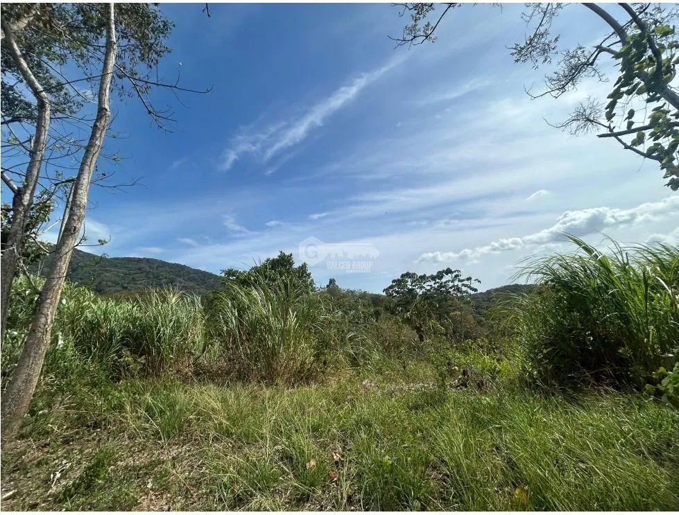 TERRENO / ARRAIJAN / BIQUE / 3 HECTAREAS / POZO DE AGUA