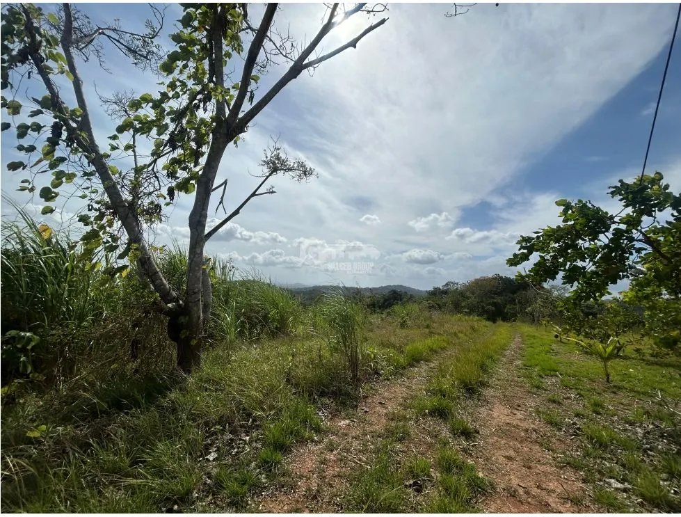 TERRENO / ARRAIJAN / BIQUE / 3 HECTAREAS / POZO DE AGUA