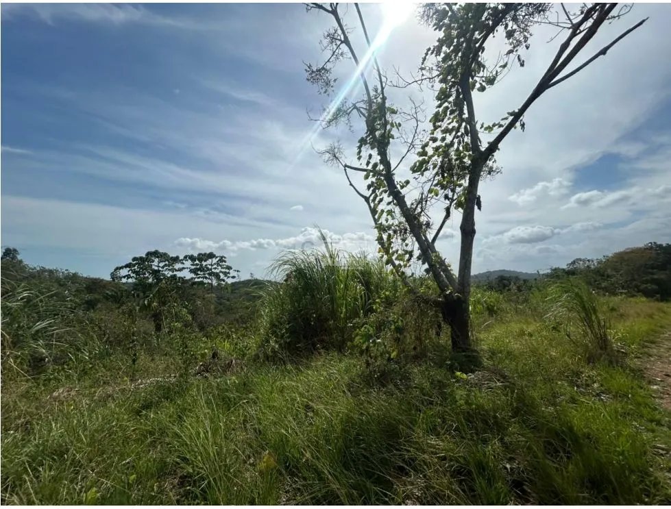 TERRENO / ARRAIJAN / BIQUE / 3 HECTAREAS / POZO DE AGUA