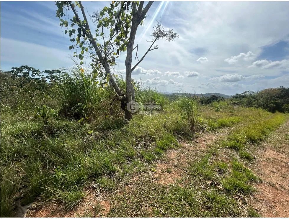 Building Lot for sale in Arraijan