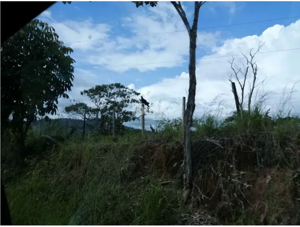Land/Farm for sale in Chorrera