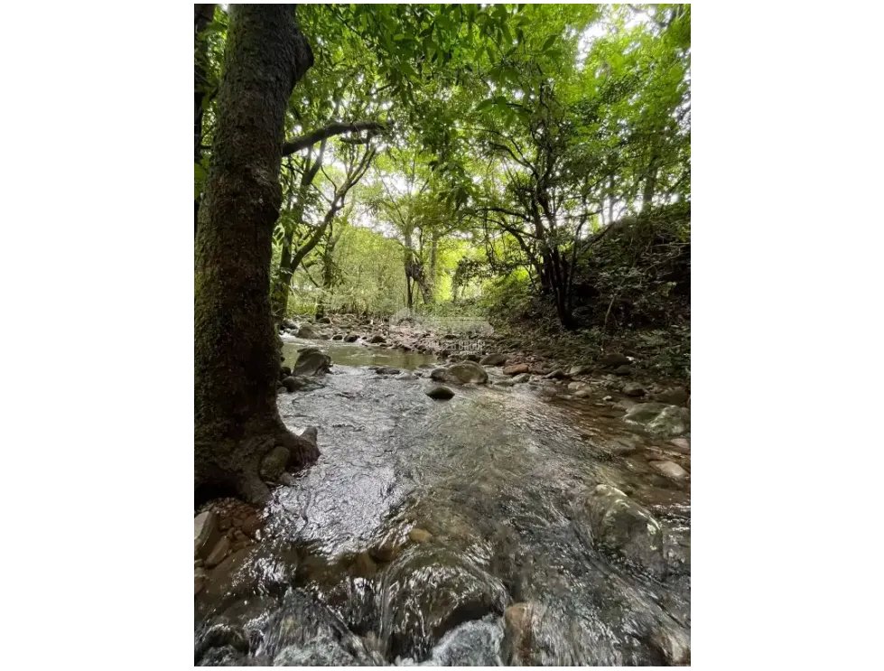 Land/Farm for sale in Chorrera
